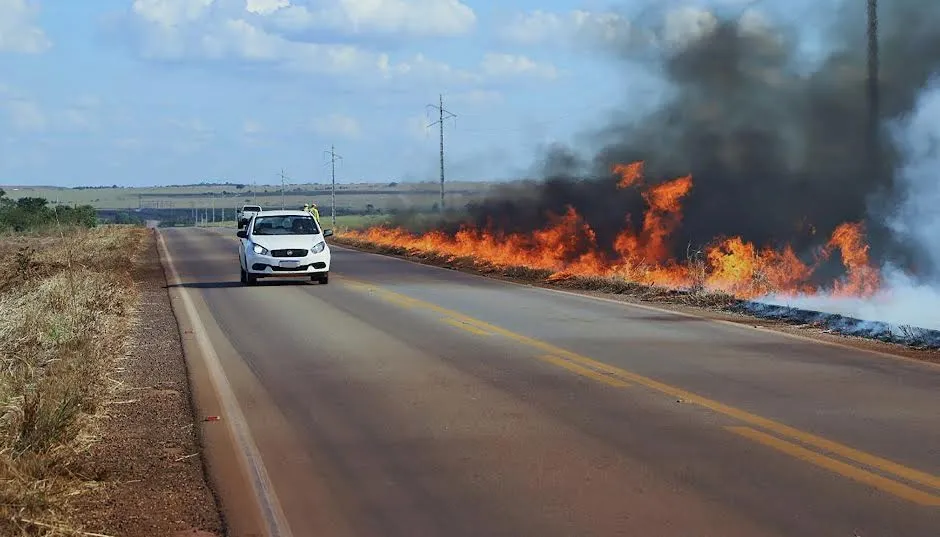 Descarte de bitucas de cigarro &agrave;s margens de rodovias &eacute; uma das pr&aacute;ticas que devem ser evitadas - Defesa Civil/Governo do Tocantins