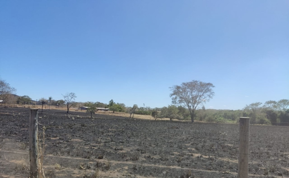 Homem é preso por incêndio criminoso que devastou 150 hectares em Santa Tereza (TO)