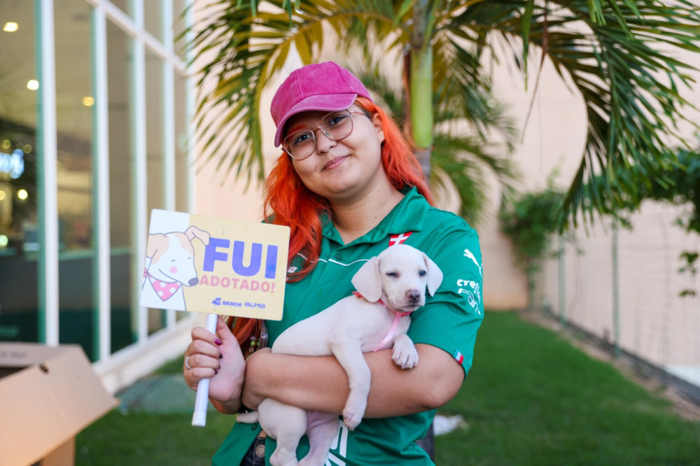 Evento de adoção em Palmas oferece cães e gatos resgatados neste sábado no Capim Dourado Shopping