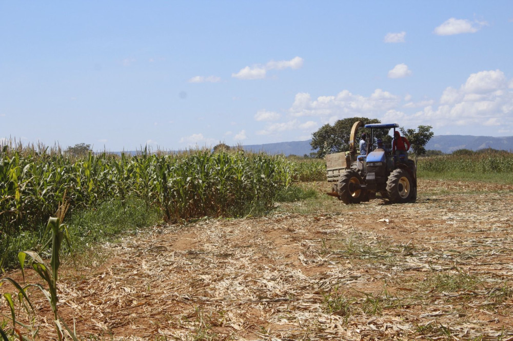 Advogado explica quais os cuidados fundamentais para não perder sua terra para a União
