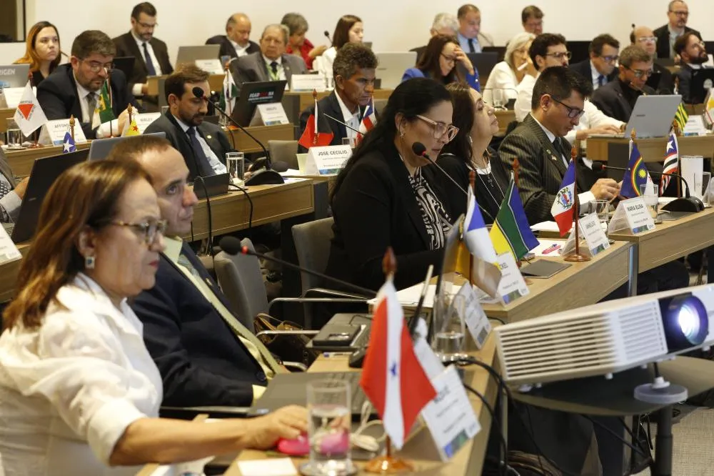 CRMV-TO participa da 4ª Câmara Nacional de Presidentes