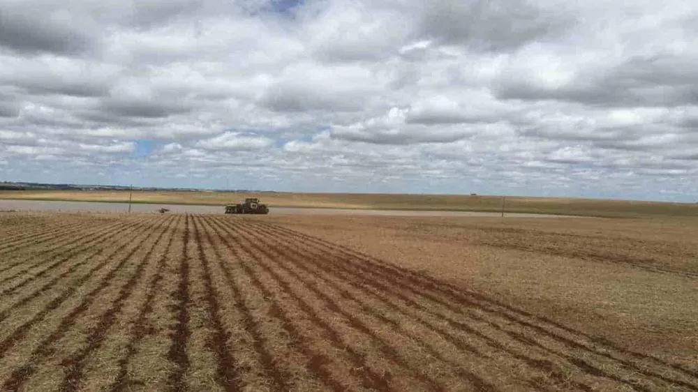 Chuvas irregulares atrasam plantio da soja no Tocantins e acendem alerta para a safrinha de 2026