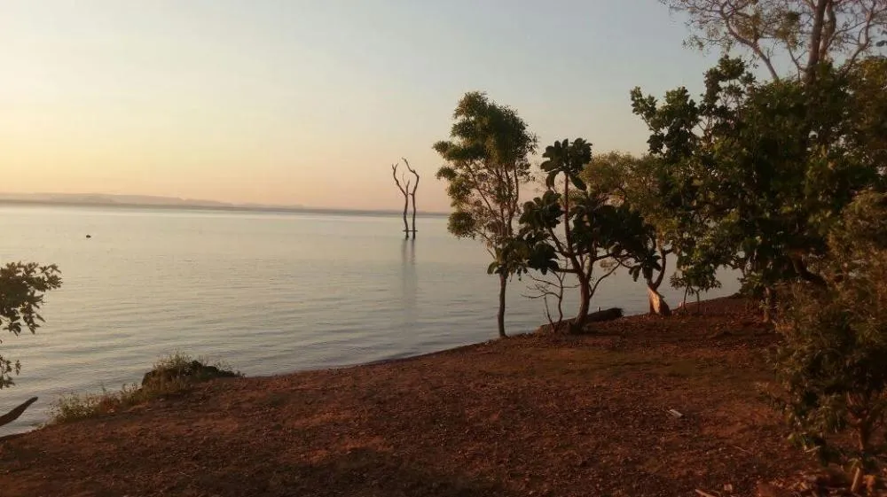 “Vê se pode?” — quando o mundo esquece o bem