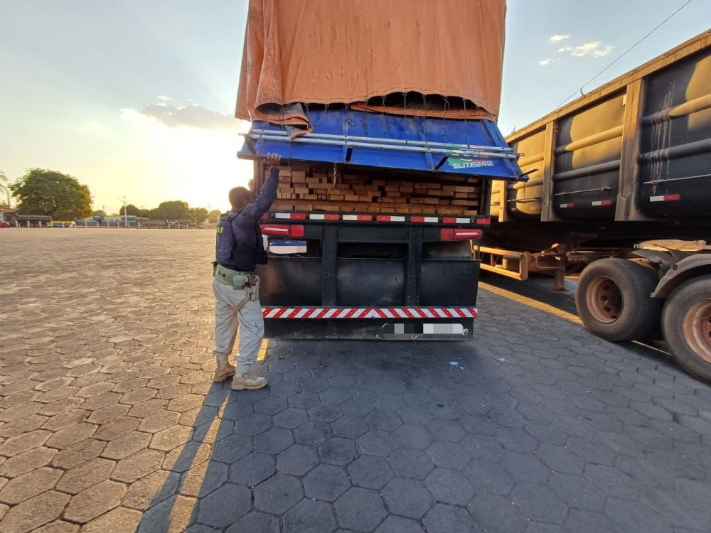 PRF encontra mais de 70 m³ de madeira irregular abandonada em posto de combustível no Tocantins