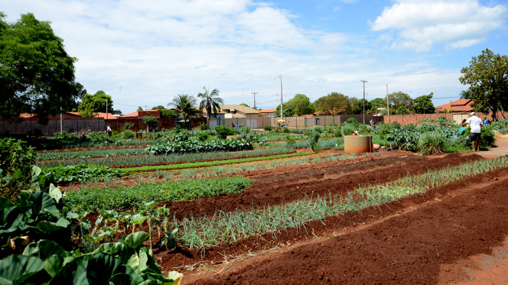 Palmas anuncia expansão e revitalização de hortas comunitárias em oito regiões da cidade