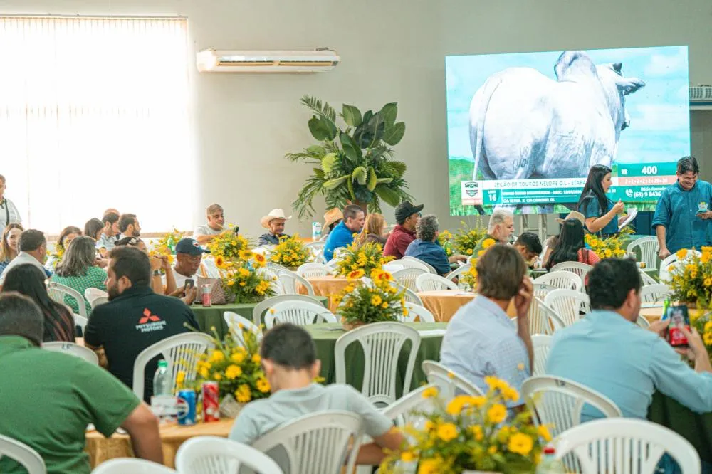 Nelore OL realiza primeiro leilão presencial da marca no Tocantins e movimenta mais de R$ 1 milhão