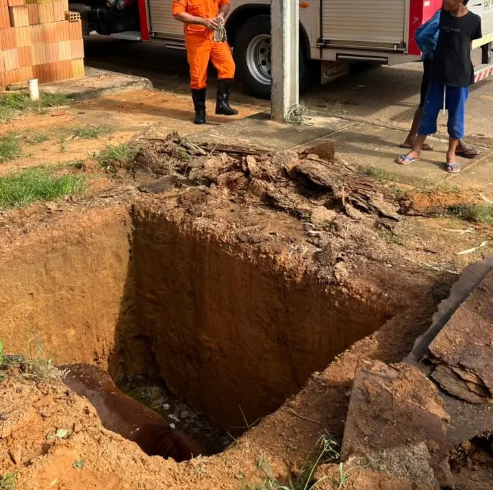 Local em que o animal caiu Foto: Divulgação/CBMTO