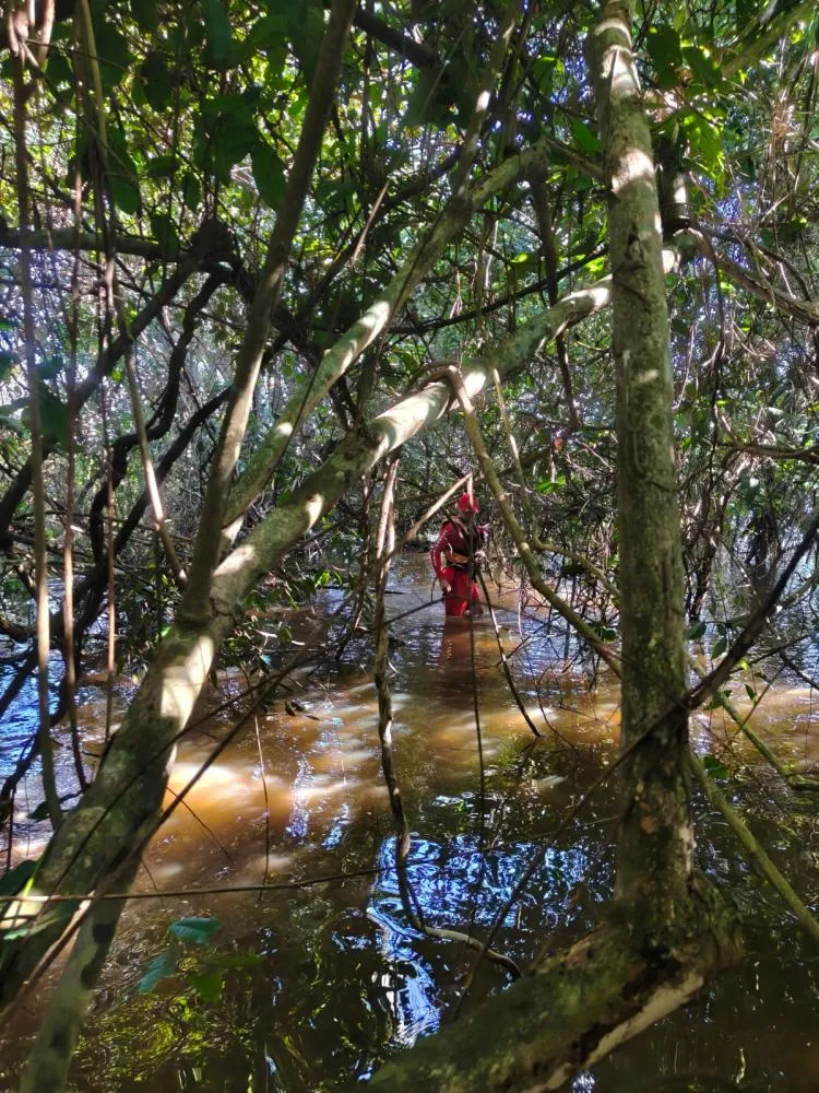 Bombeiros fazem buscas em área alagada e de difícil acesso durante operação por desaparecido em Aragominas. Foto: Divulgação