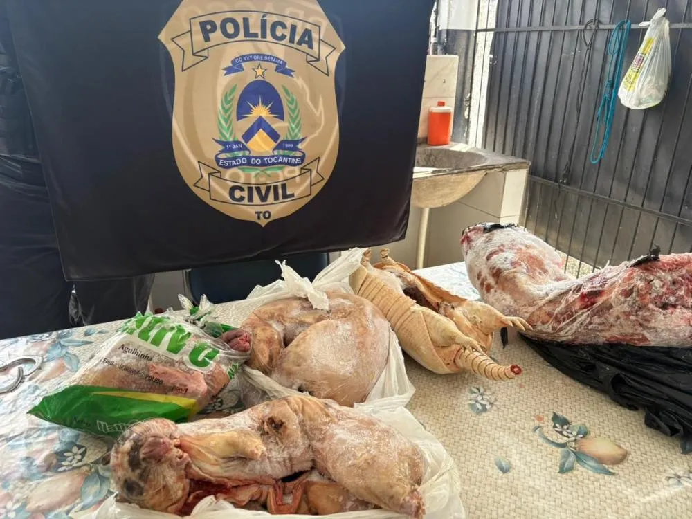 Em Colméia, Polícia Civil cumpre mandados e prende dois homens por tráfico de drogas e crimes ambientais