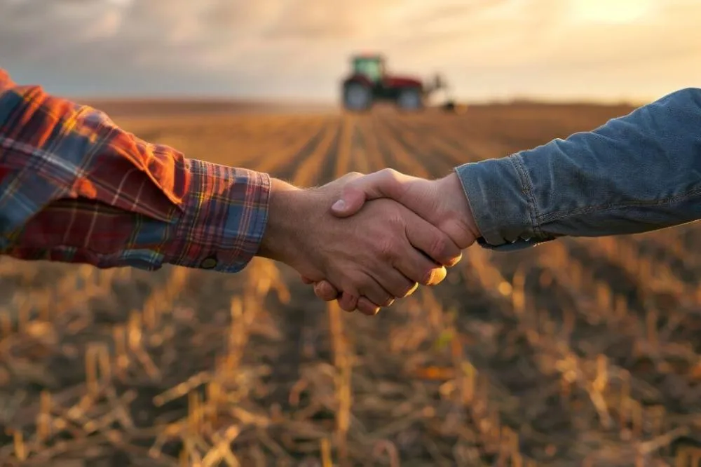 Entenda como a advocacia especializada reduz riscos e fortalece o agronegócio tocantinense