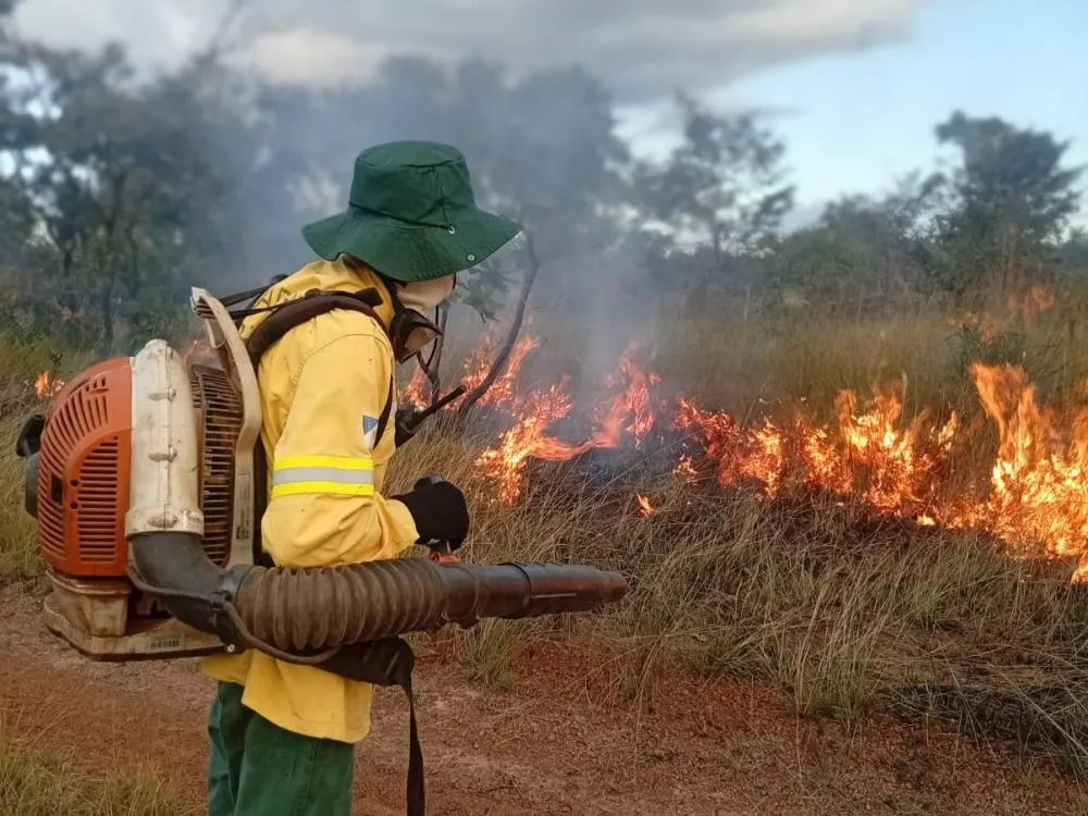  Ação está alinhada ao Plano Integrado de Prevenção e Combate aos Incêndios Florestais de 2026 do Governo do Tocantins - Divulgação/Naturatins