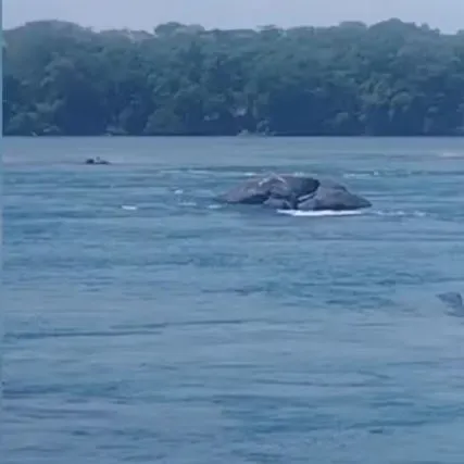 Menino de 12 anos morre afogado no Rio Tocantins em Peixe; é o segundo caso em menos de 24 horas